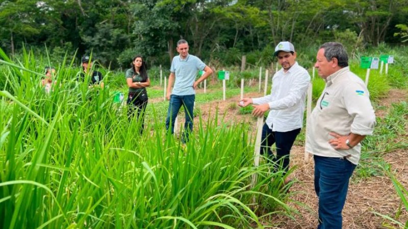 Programa estadual fortalece pecuária leiteira e aumenta produtividade na agricultura familiar em Rondônia