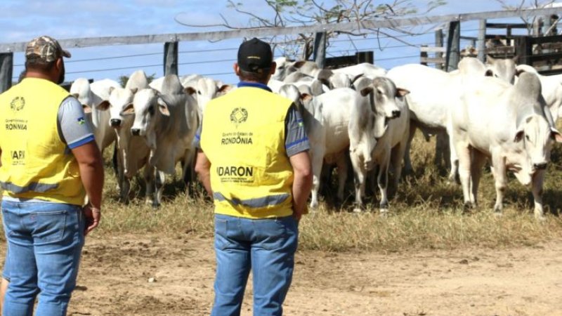 A partir de sábado, 1º, produtor terá 30 dias para atualizar cadastro agropecuário junto à Idaron