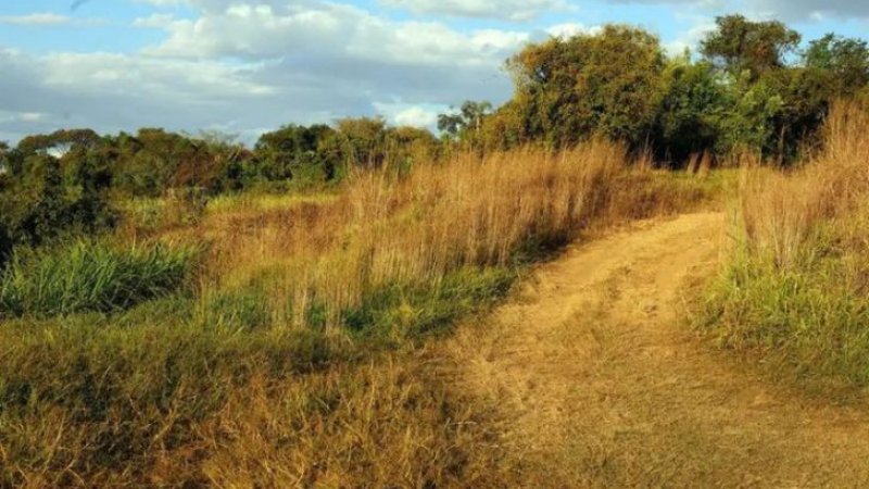Após manifestação do MPF, Justiça reconhece fazenda em Rondônia como área pública para programas de reforma agrá