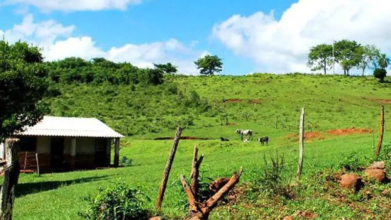 Atuação do MPF evita remoção de famílias e garante reconhecimento de domínio público em área de 39 mil ha em RO