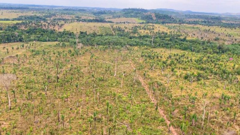 MPRO ajuíza ação civil pública por desmatamento ilegal em Machadinho do Oeste
