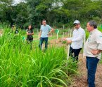 Programa estadual fortalece pecuária leiteira e aumenta produtividade na agricultura familiar em Rondônia